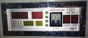 00-00001435_00-00001435