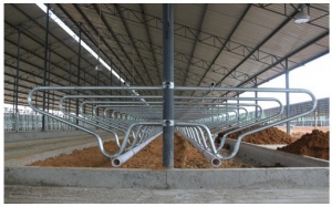 00-00001066_00-00001066