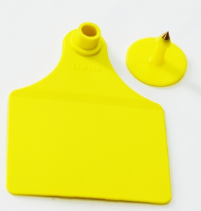 ЦБ-00005996_00-00001289