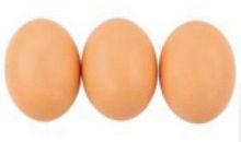 купить яйцо для кур , Скидки до 30% Доставка по всей России, Интернет-магазин «Sokol Technology» 8-800-250-10-50, Заказы на сайте принимаются круглосуточно 24/7 whatsapp +79145581119 